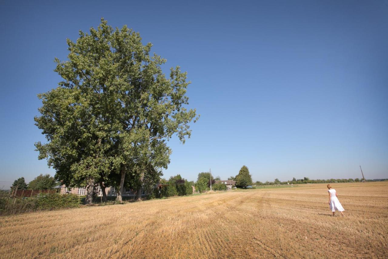 Holsbeek B&B Het Rooj المظهر الخارجي الصورة